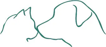 Vétérinaire 78 Chat et chien qui s'embrasse