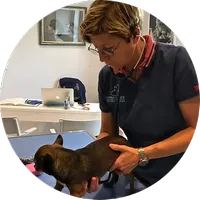 Dr Gonon vétérinaire Saint-Léger-En-Yvelynes 78