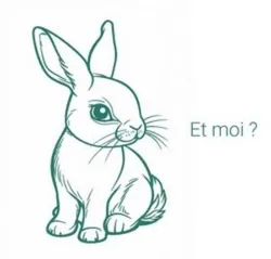 Lapin et moi ? Vétérinaire 78