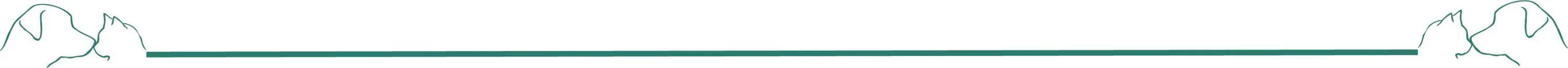 Chat Chien Ligne de séparation